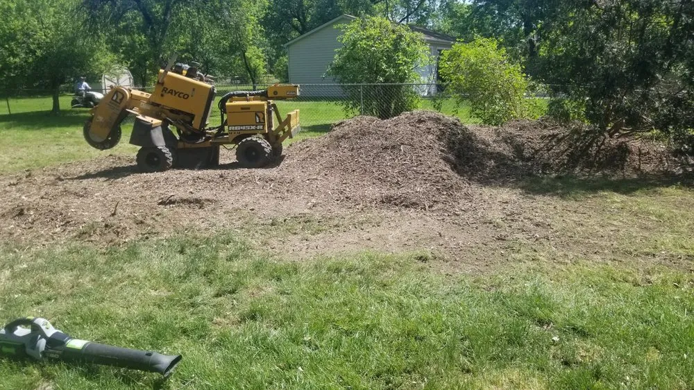 Professional landscaping services experts serving Clarkston, MI - Mr. Stump