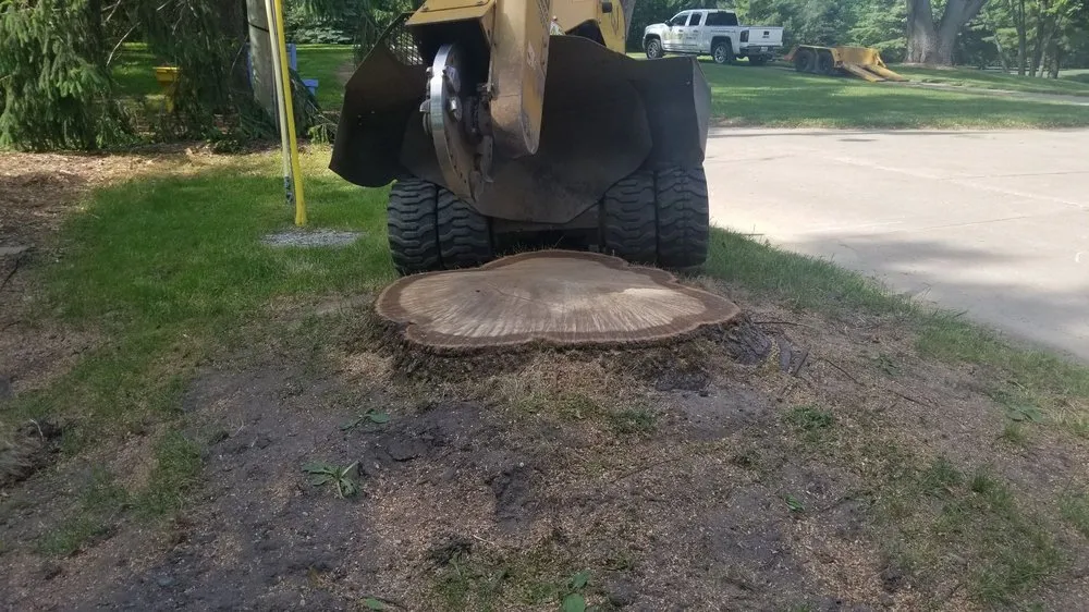 Expert outdoor landscaping for outdoor upgrades across Clarkston, MI - Mr. Stump