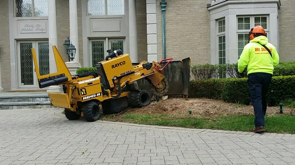 Professional outdoor landscaping for beautiful yards across Clarkston, MI - Mr. Stump