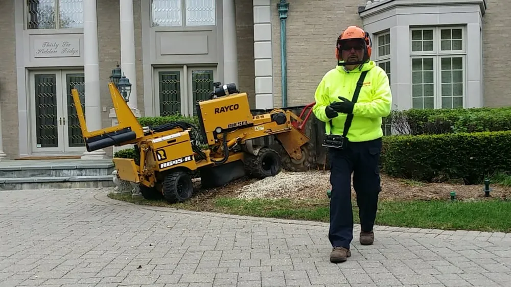 Expert garden landscaping in Clarkston, MI - Mr. Stump