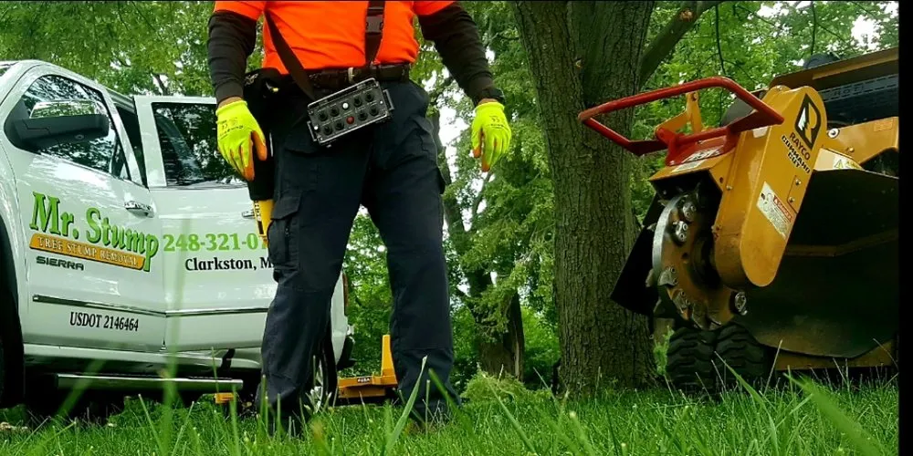 Custom garden landscaping in Clarkston, MI - Mr. Stump