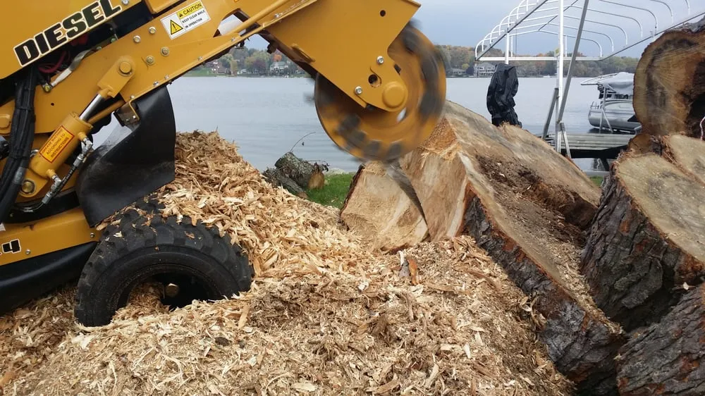 Local lawn care service in Clarkston, MI by Mr. Stump