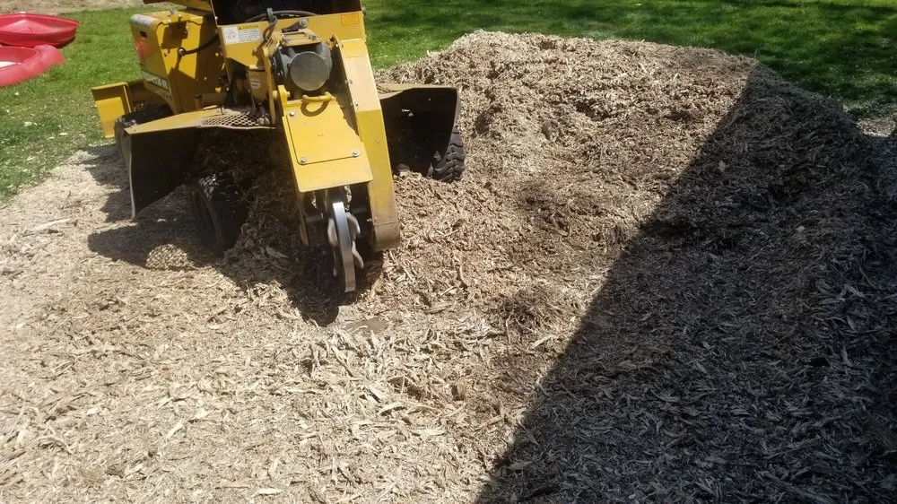 Reliable landscape design with custom design across Clarkston, MI - Mr. Stump