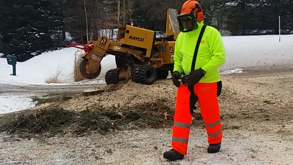 Trusted landscaping services with custom design in Clarkston, MI by Mr. Stump