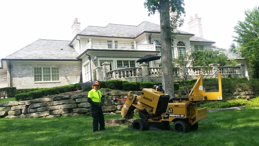 Custom yard cleanup service in Clarkston, MI by Mr. Stump