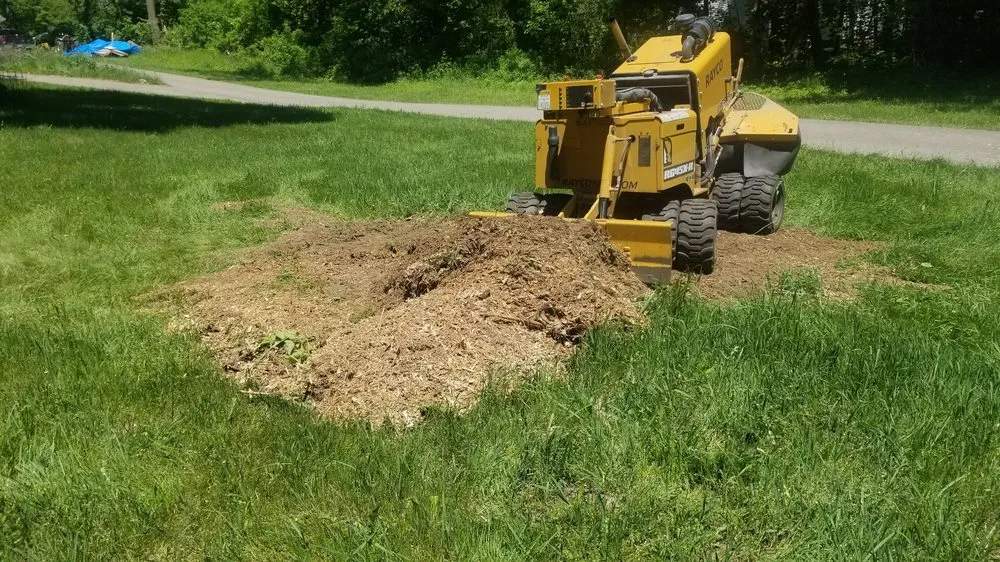 Trusted yard cleanup service in Clarkston, MI by Mr. Stump