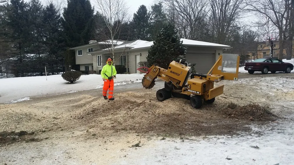 Top-rated lawn care service for year-round maintenance across Clarkston, MI - Mr. Stump