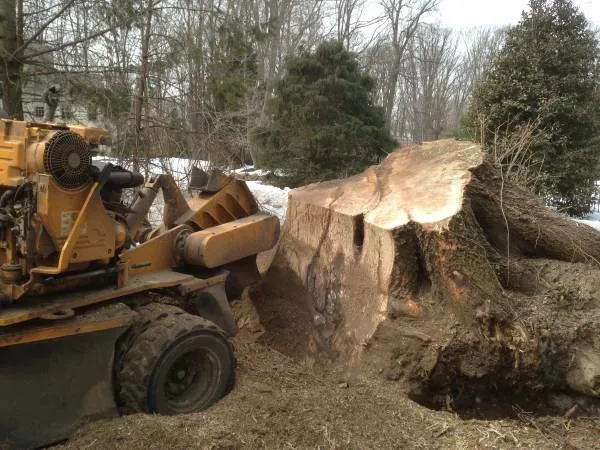 Custom landscape design for beautiful yards in Malvern, PA by Mr Stump