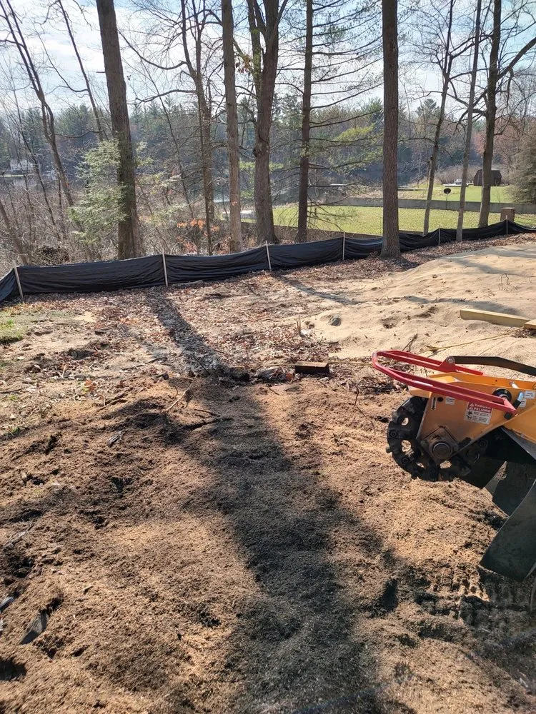 Professional yard cleanup service experts serving Big Rapids, MI - Mr Stumpgrinder