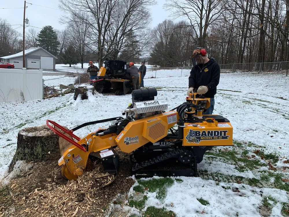 Expert yard cleanup service with custom design in Big Rapids, MI by Mr Stumpgrinder