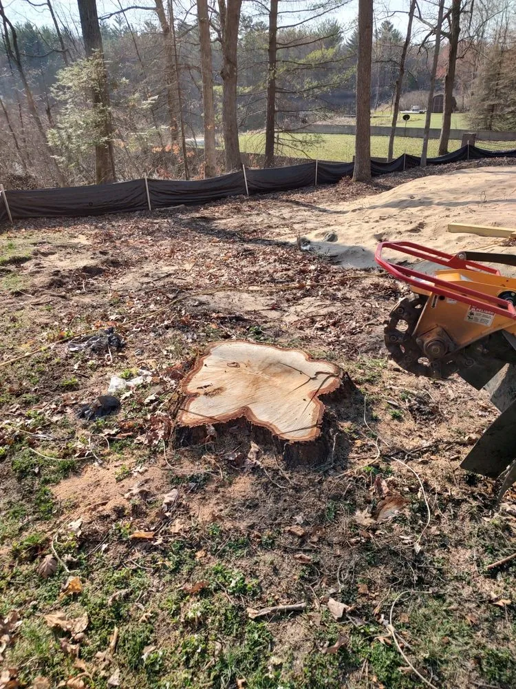 Professional residential landscaping experts serving Big Rapids, MI - Mr Stumpgrinder