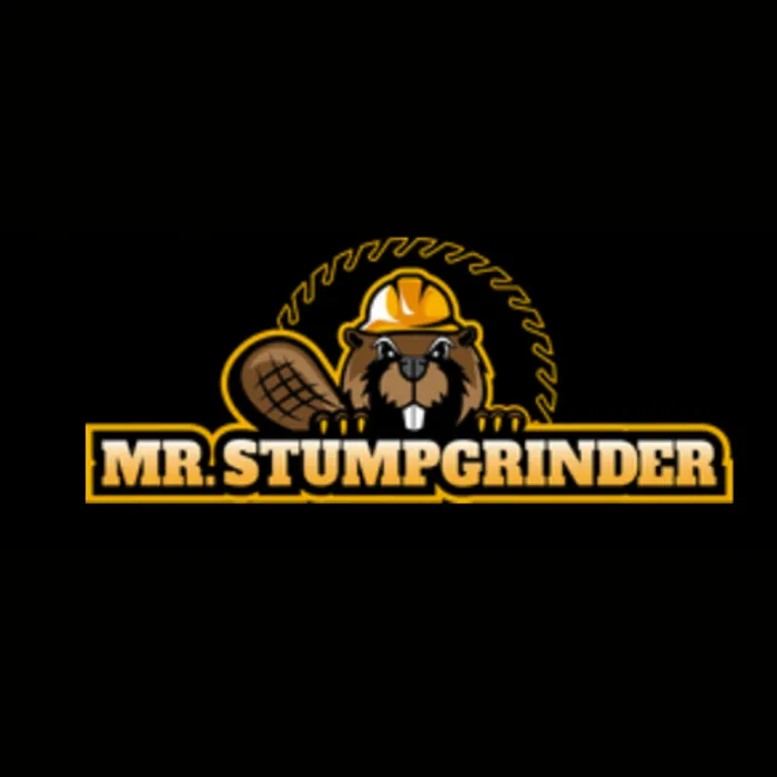 Reliable landscaping services with custom design in Big Rapids, MI by Mr Stumpgrinder
