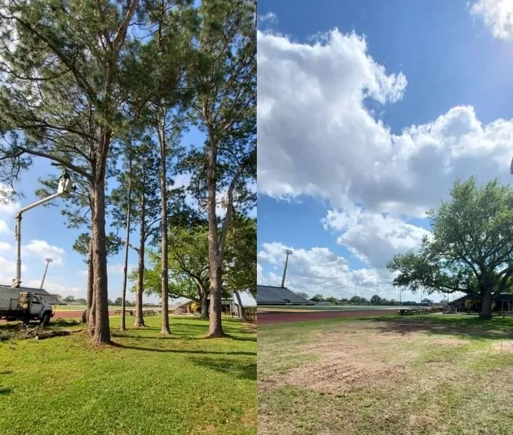 Reliable landscaping services for residential properties in Wilton Manors, FL by Mr T Landscaping