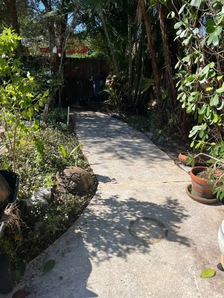 Top-rated residential landscaping in Wilton Manors, FL - Mr T Landscaping