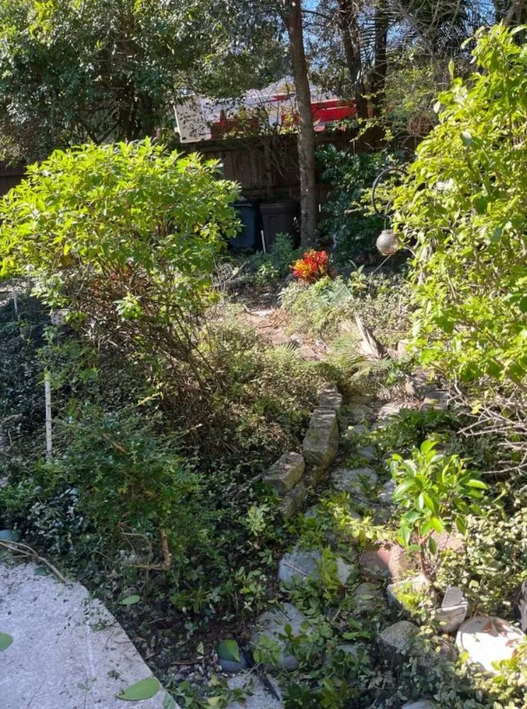 Professional yard maintenance experts serving Wilton Manors, FL - Mr T Landscaping