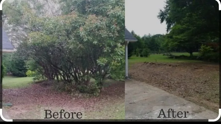 Reliable residential landscaping with custom design in Wilton Manors, FL by Mr T Landscaping