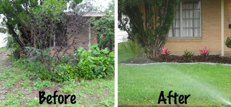 Reliable landscape design in Wilton Manors, FL by Mr T Landscaping