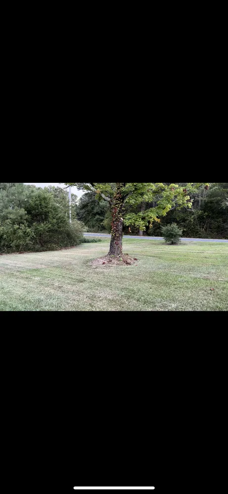 Expert residential landscaping in Anderson, SC - Mr T Lawn Care