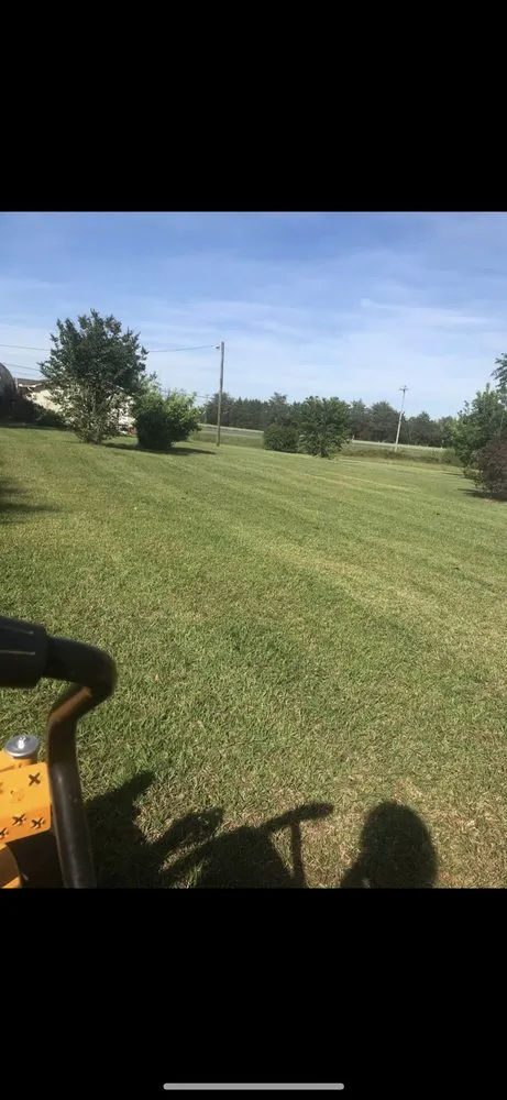 Expert landscape installation for residential properties across Anderson, SC - Mr T Lawn Care