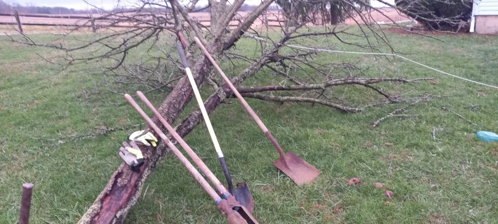 Custom lawn mowing service with custom design across Marengo, OH - Mr Toasts Handyman Service