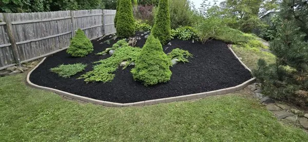 MR Tree Service & Landscaping Logo