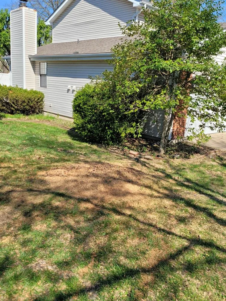 Reliable landscaping services in Dittmer, MO - Mr Tree Service