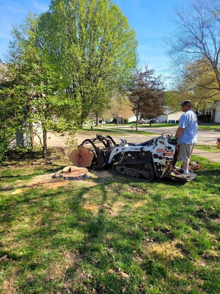Expert garden landscaping experts serving Dittmer, MO - Mr Tree Service