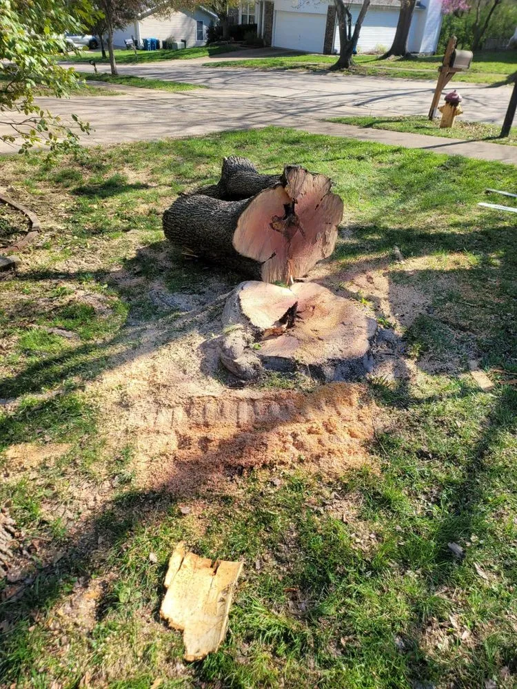 Local lawn care service in Dittmer, MO - Mr Tree Service