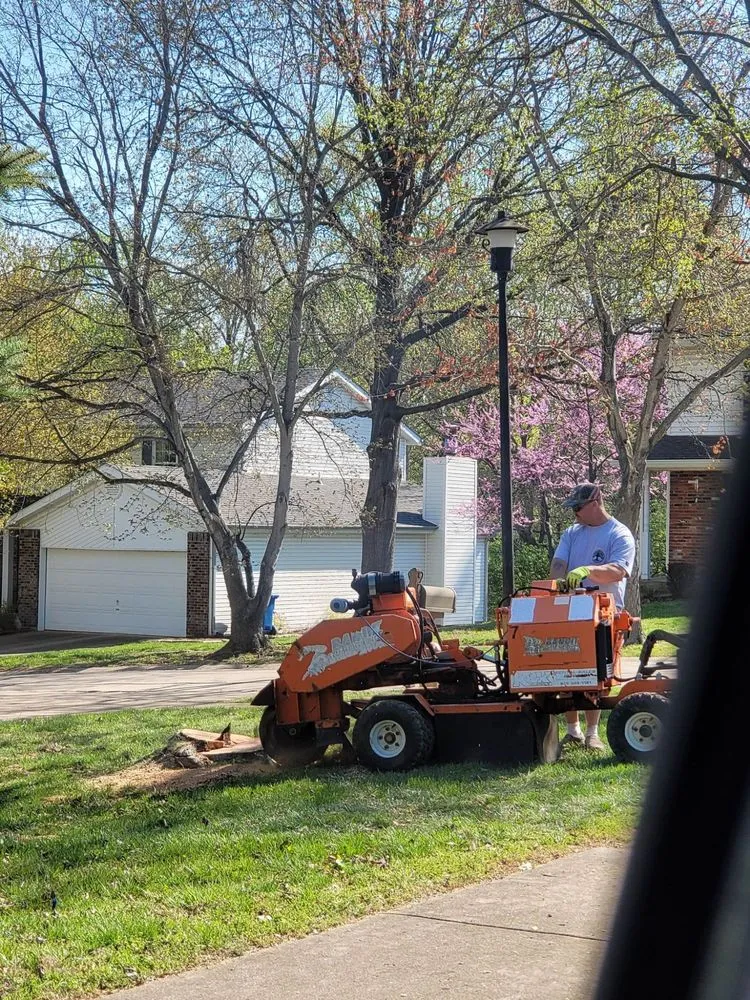 Custom garden landscaping for residential properties across Dittmer, MO - Mr Tree Service