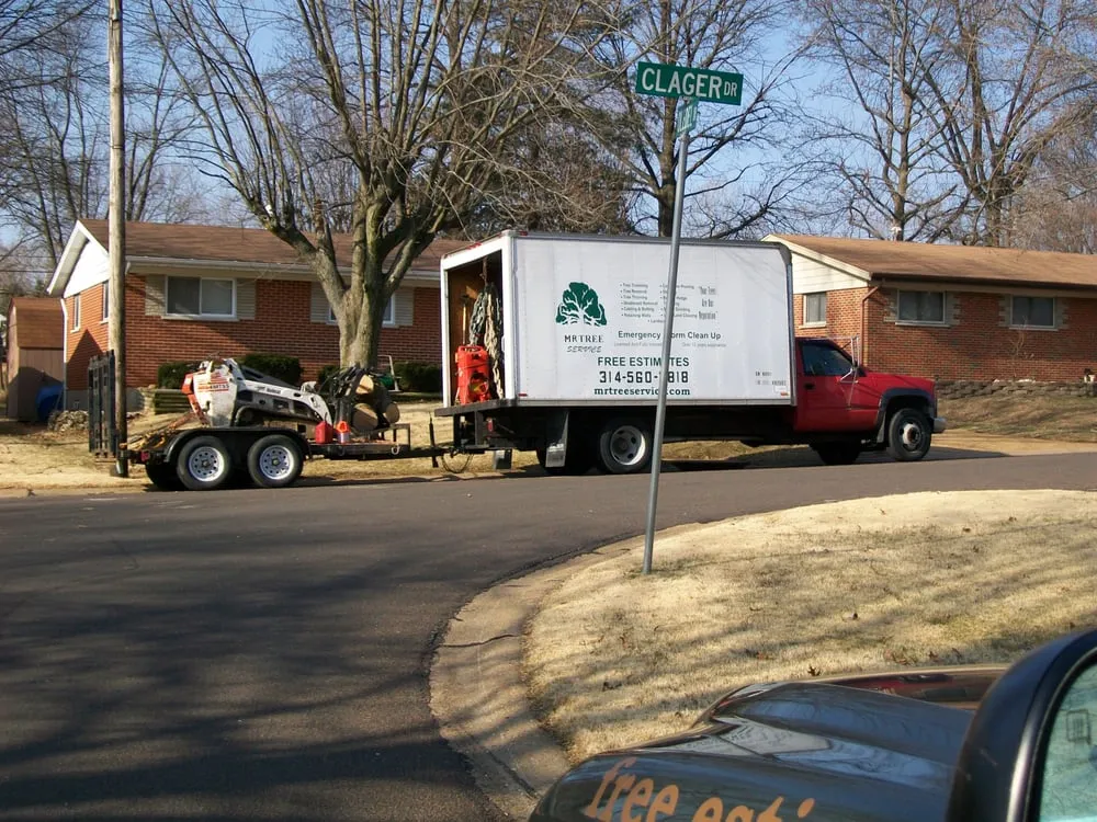 Trusted lawn care service for residential properties across Dittmer, MO - Mr Tree Service