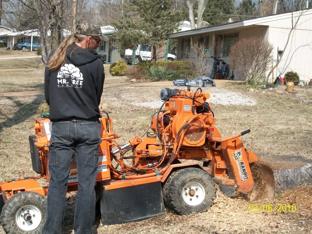 Top-rated yard cleanup service experts serving Dittmer, MO - Mr Tree Service