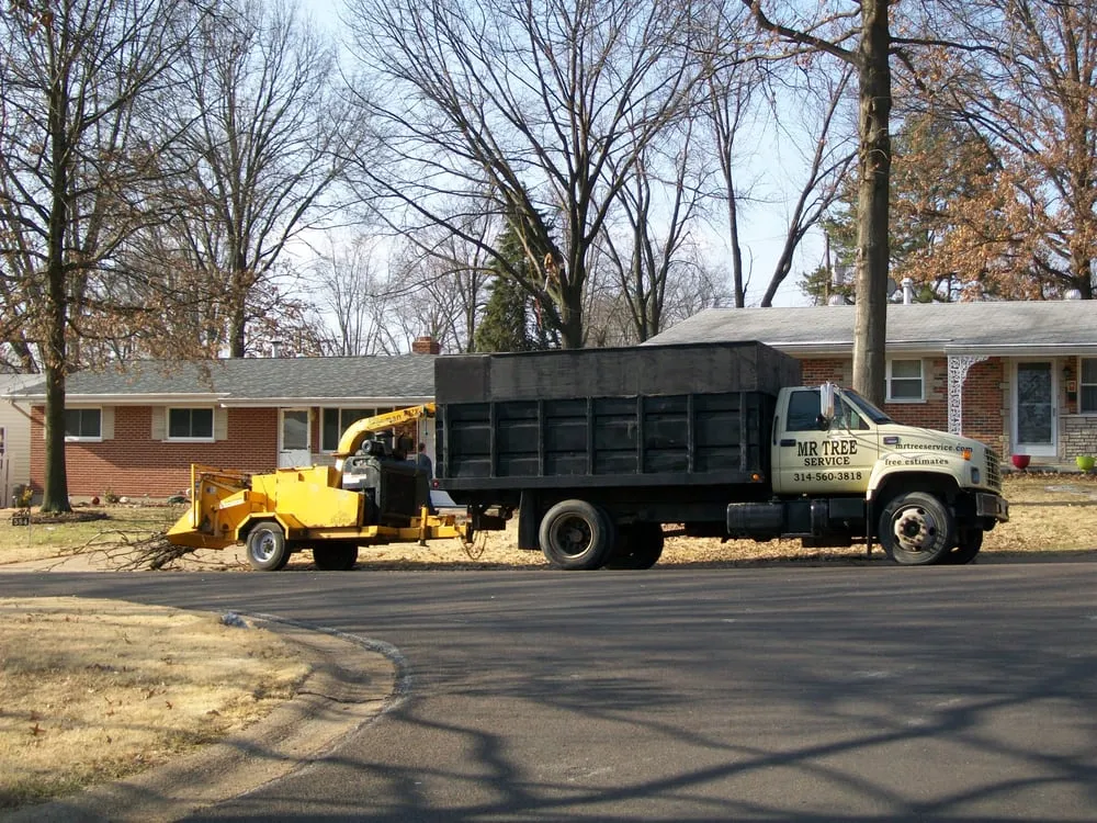 Local landscape design in Dittmer, MO - Mr Tree Service