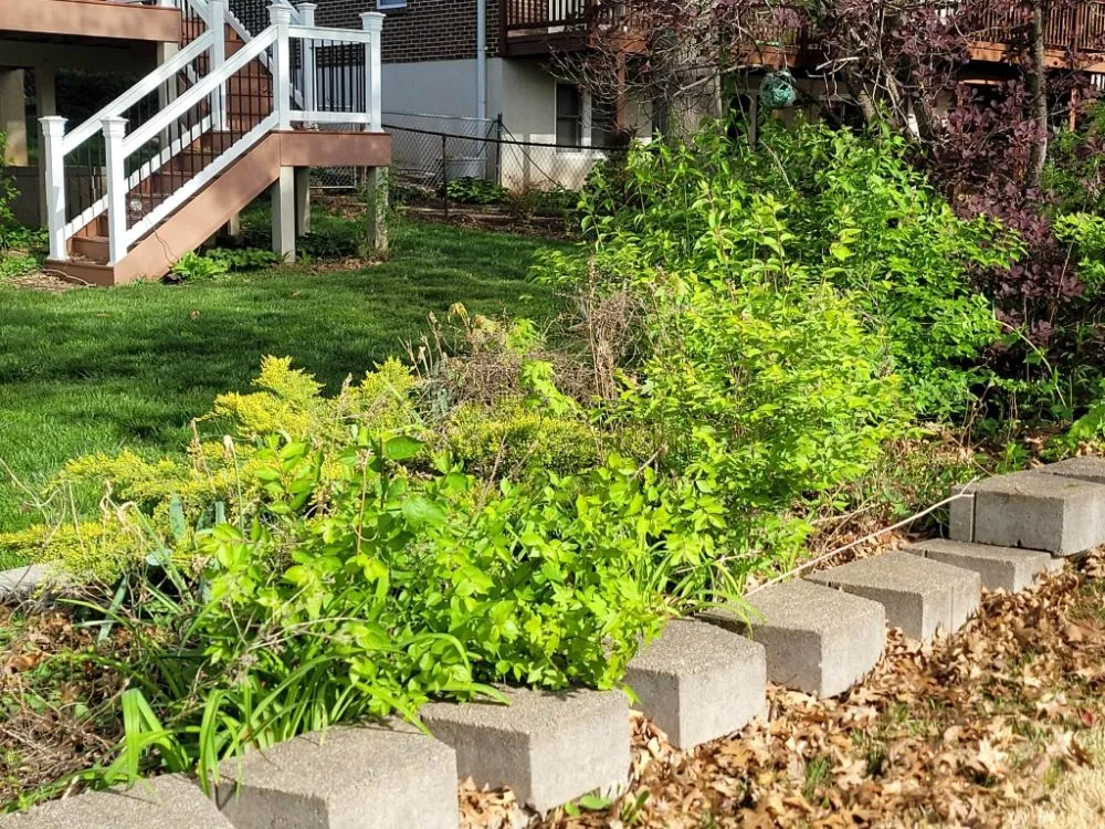 Local residential landscaping experts serving Dittmer, MO - Mr Tree Service