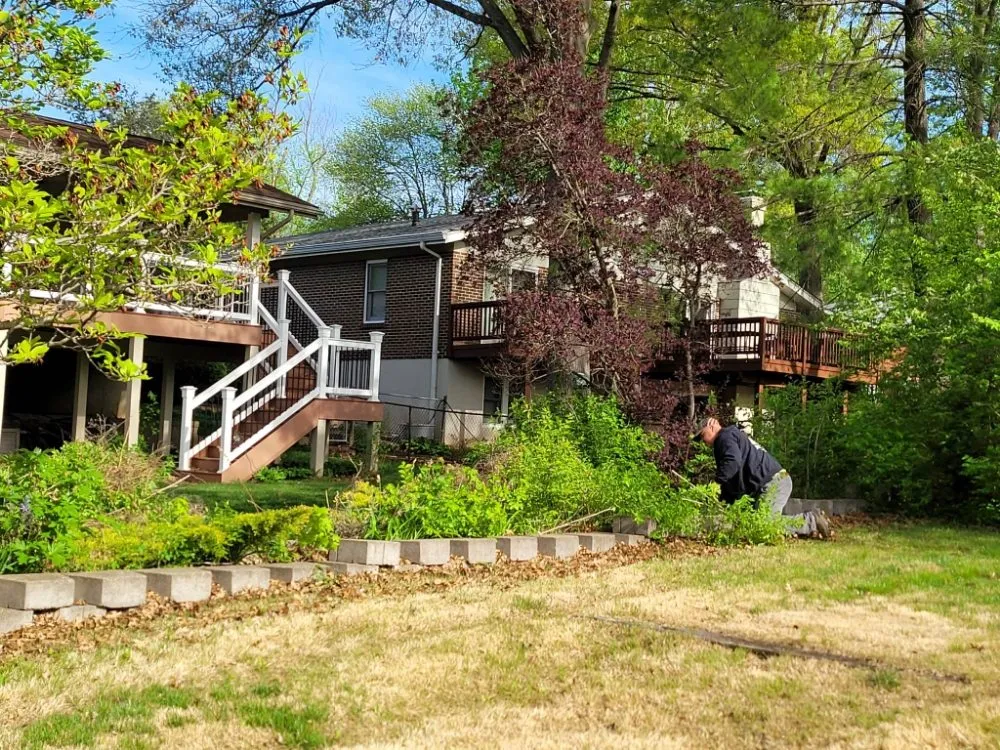 Affordable landscape installation in Dittmer, MO by Mr Tree Service