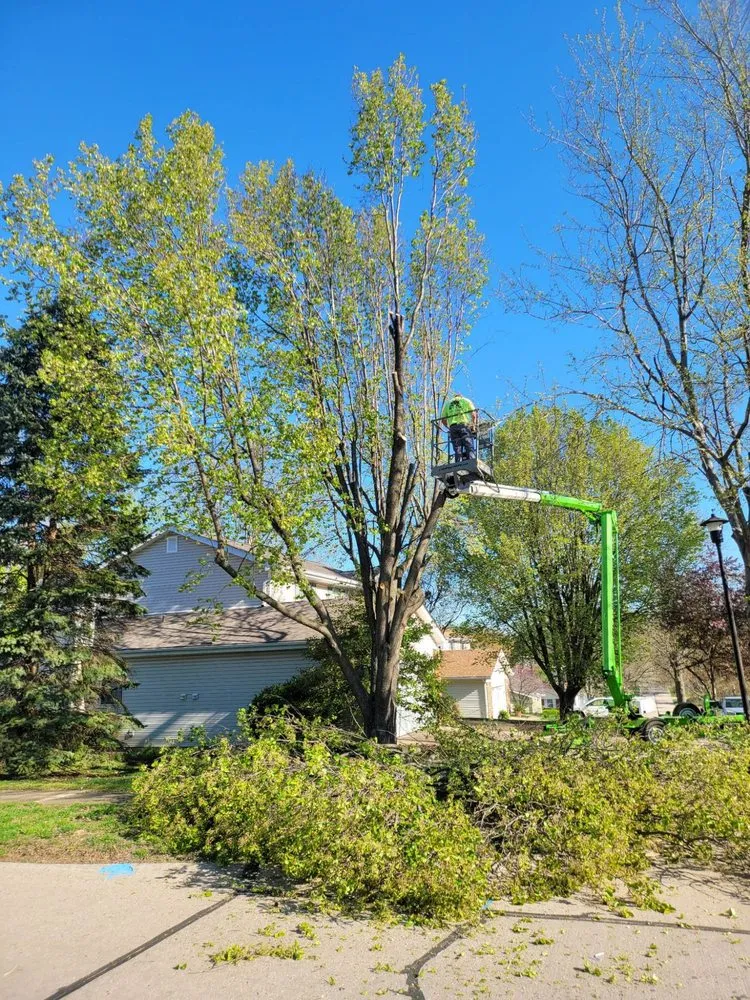 Top-rated residential landscaping experts serving Dittmer, MO - Mr Tree Service