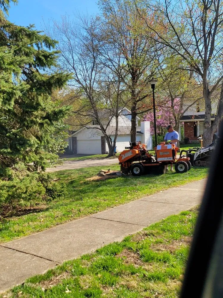Local lawn mowing service for residential properties in Dittmer, MO by Mr Tree Service