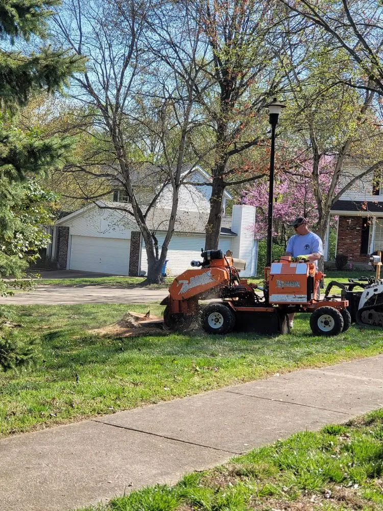 Affordable residential landscaping experts serving Dittmer, MO - Mr Tree Service