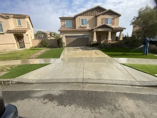 Mr T’s Gardening Service Logo