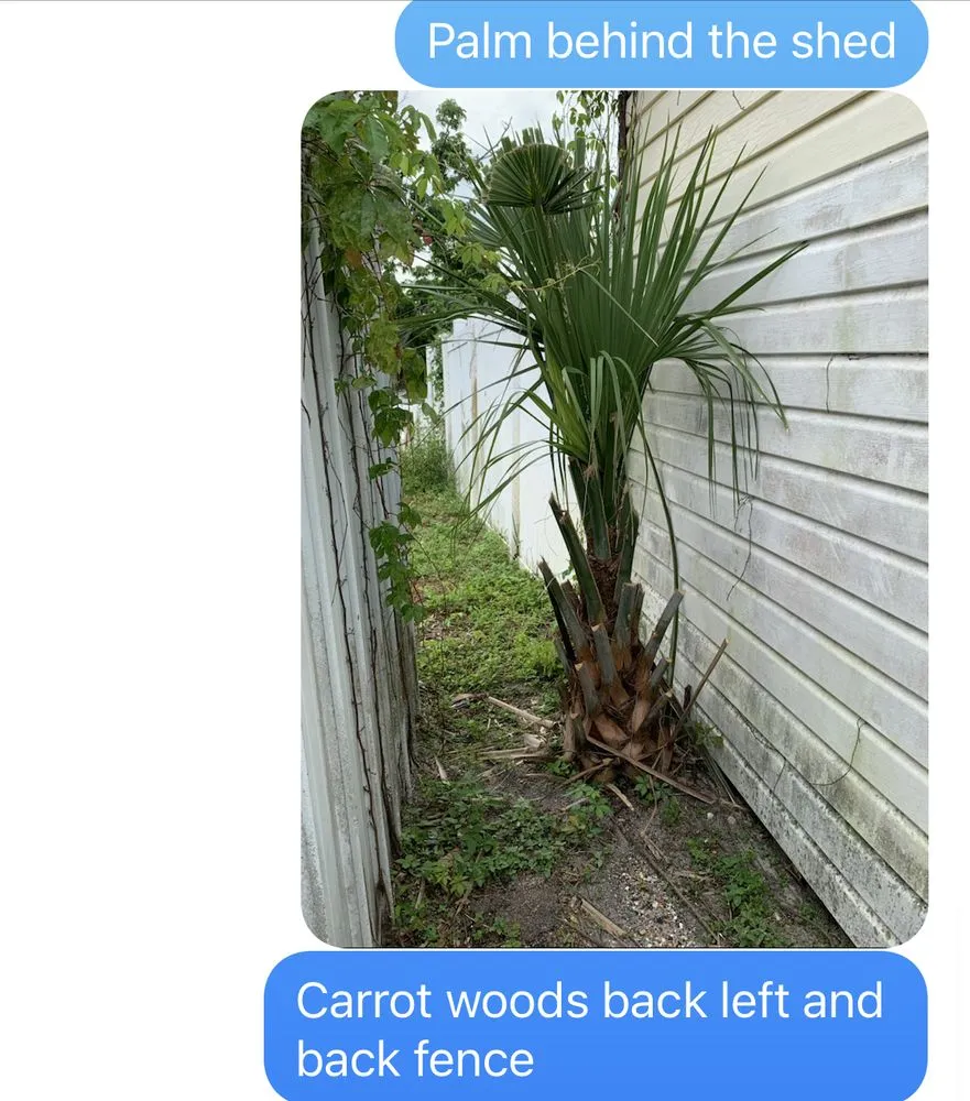 Reliable lawn mowing service experts serving Seminole, FL - Mr. T's Trees