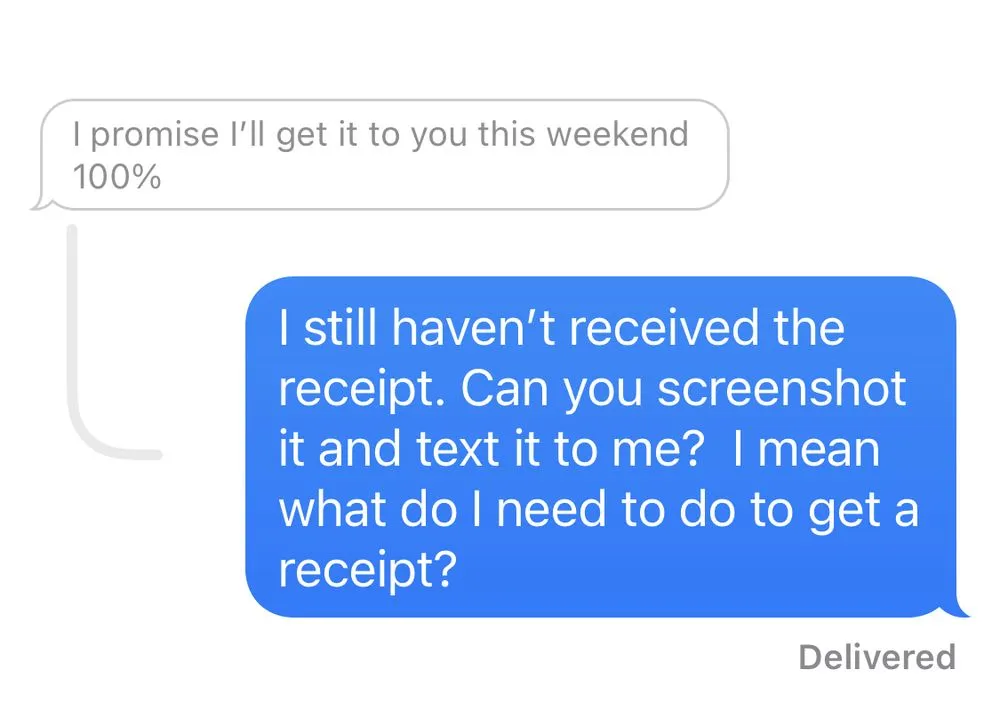 Professional landscaping services for beautiful yards in Seminole, FL by Mr. T's Trees