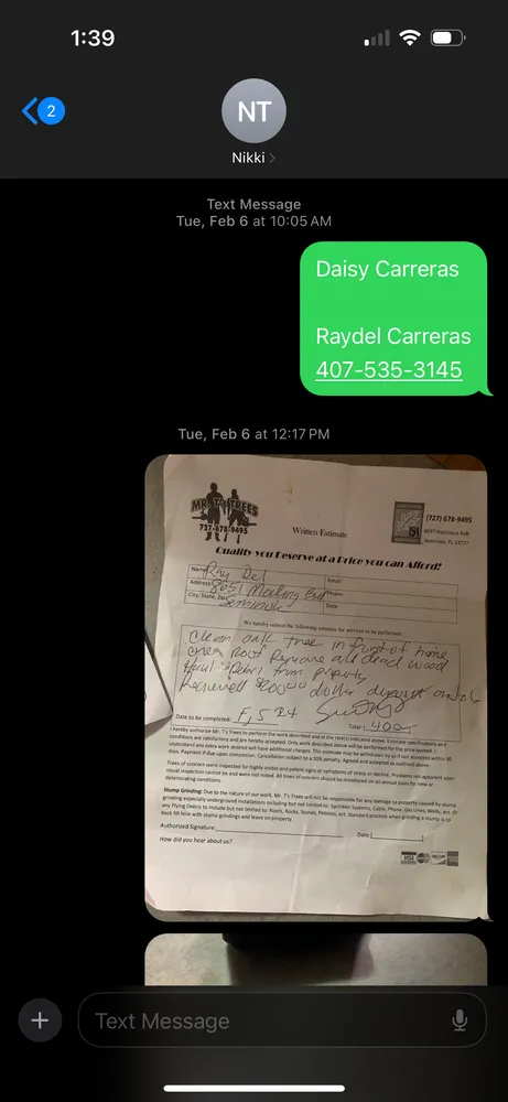 Professional residential landscaping experts serving Seminole, FL - Mr. T's Trees