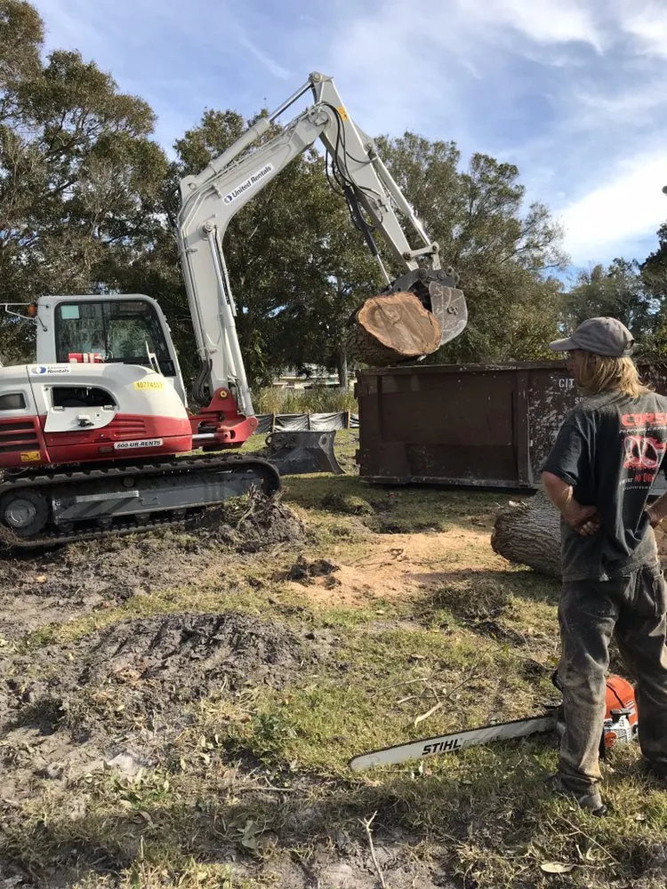 Custom outdoor landscaping in Seminole, FL by Mr. T's Trees