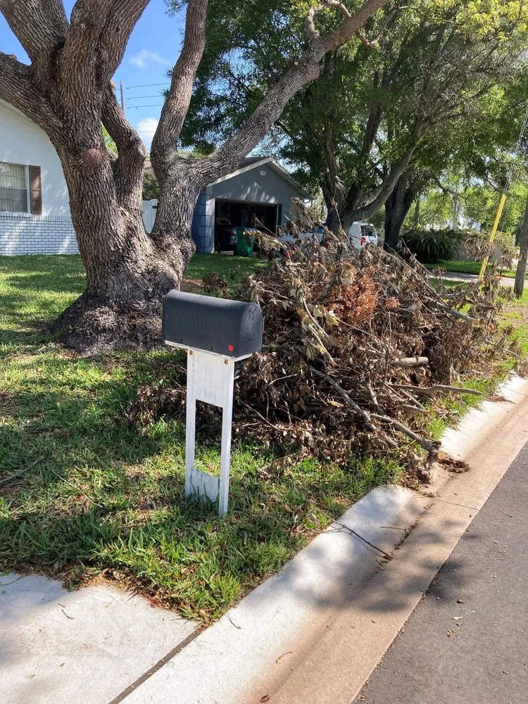 Trusted lawn care service near you in Seminole, FL by Mr. T's Trees