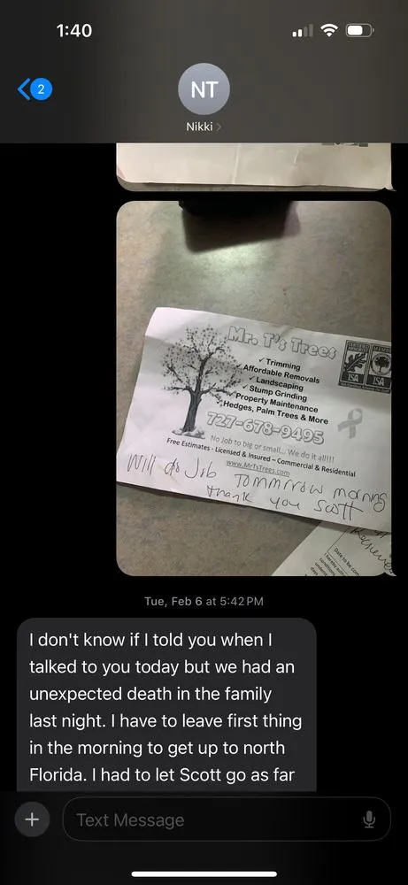 Professional lawn mowing service in Seminole, FL - Mr. T's Trees