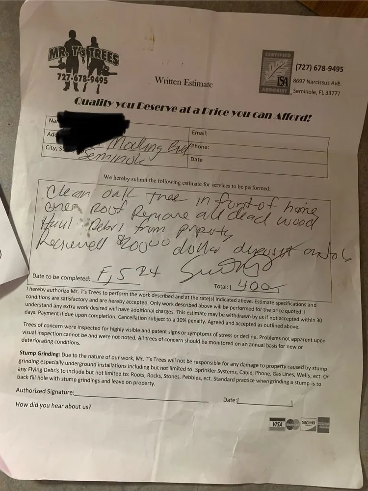 Professional yard cleanup service for homes across Seminole, FL - Mr. T's Trees