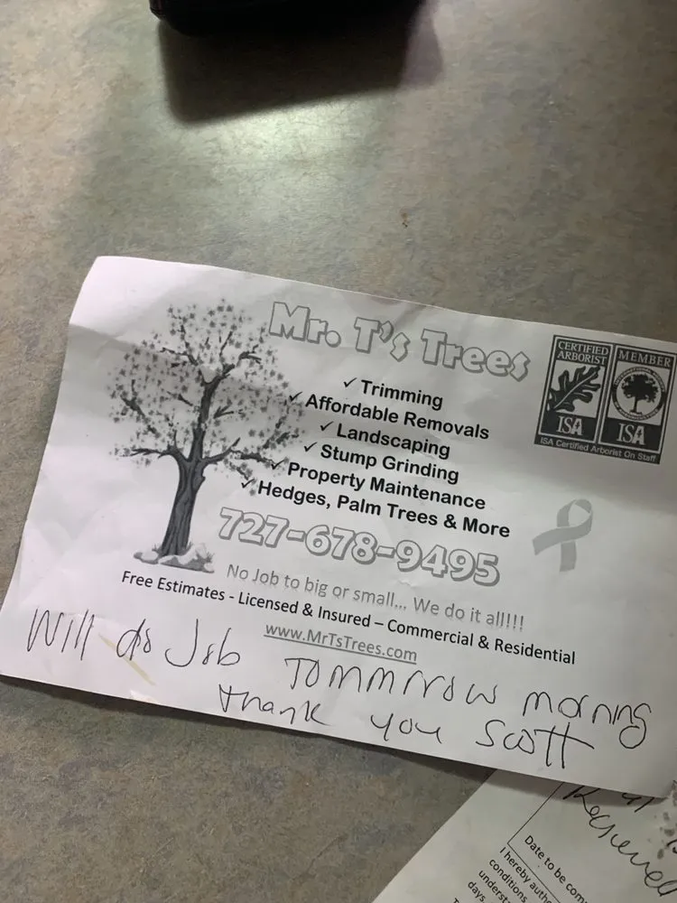 Trusted landscape installation for homes across Seminole, FL - Mr. T's Trees