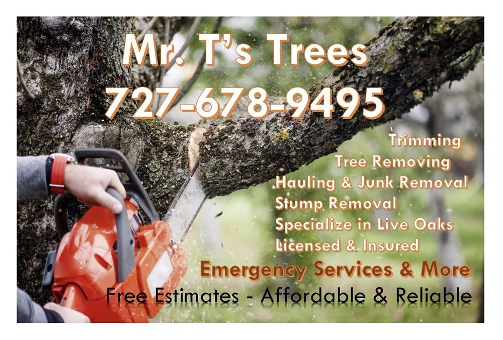 Top-rated lawn care service experts serving Seminole, FL - Mr. T's Trees