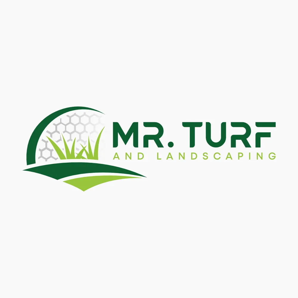 Top-rated yard cleanup service for year-round maintenance in Fresno, CA by Mr Turf and Landscaping