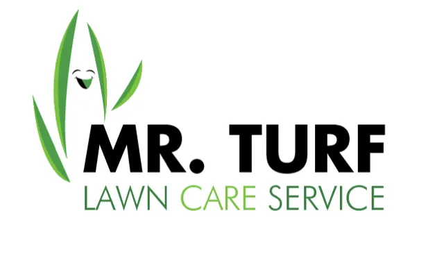 Local landscape design in Fayetteville, GA by Mr Turf