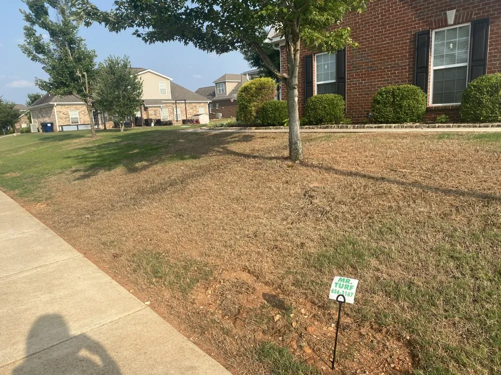 Top-rated residential landscaping in Huntsville, AL - Mr Turf